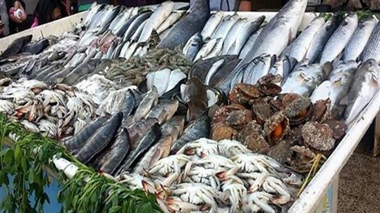 أسعار السمك اليوم الأربعاء 8 يناير 2020