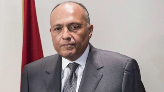 وزير الخارجية يتوجه إلى العاصمة الجزائرية حاملاً رسالة من الرئيس السيسي إلى الرئيس تبون