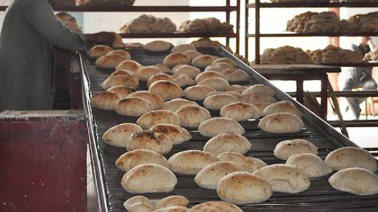 وزير التموين: التحول إلى الدعم النقدى المشروط لن يمس حصص الخبز
