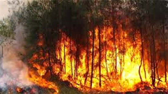  3 مليارات دولار خسائر الاقتصاد الاسترالي بعد حرائق الغابات 
