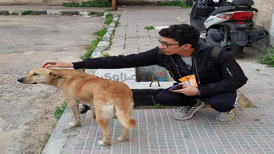 مواطنون يحتفلون بالفلانتين مع الحيوانات الضالة في الإسكندرية