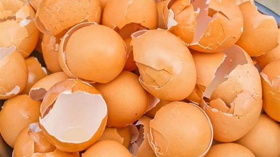 ثروة من المعادن.. ماذا يحدث عند تناول قشور البيض المطحون في العصير
