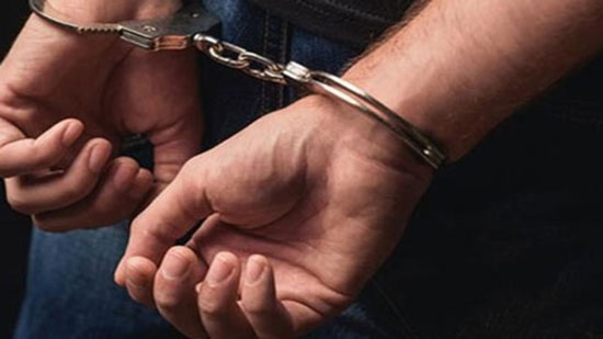 حبس متهمين جدد بالتحريض ضد الدولة 15 يومًا احتياطيًا
