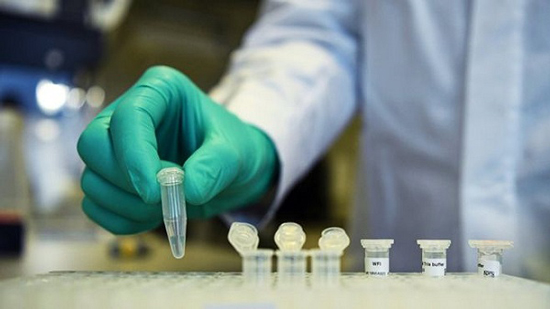كورونا: علماء أستراليون يتعرفون على كيفية تعامل جهاز المناعة مع الفيروس