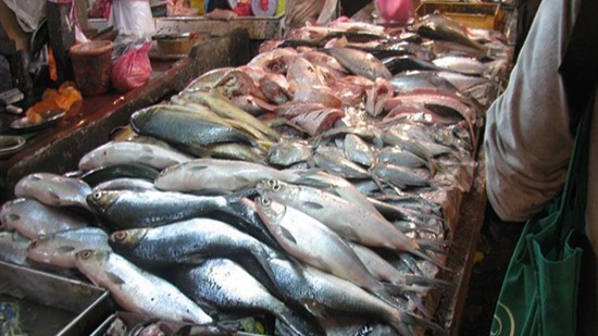 استقرار أسعار الأسماك اليوم بسوق العبور