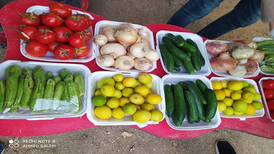  بينا نساعد بعض .. مبادرة شباب الصف تبيع الخضروات بسعر الجملة لمحاربة جشع التجار