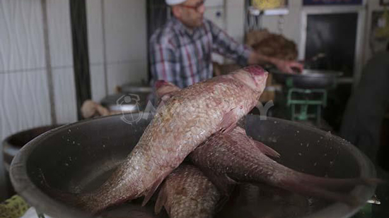 ضبط أصحاب مخازن حجبوا 20 طن مواد غذائية عن السوق و2 طن سمك مملح فاسد
