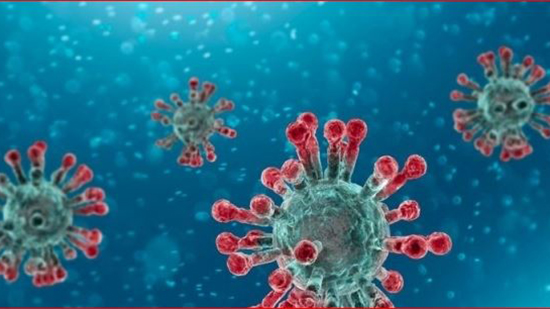 صور.. كيف يدمر فيروس كورونا خلايا الرئة وينتقل من خلالها للجسم؟