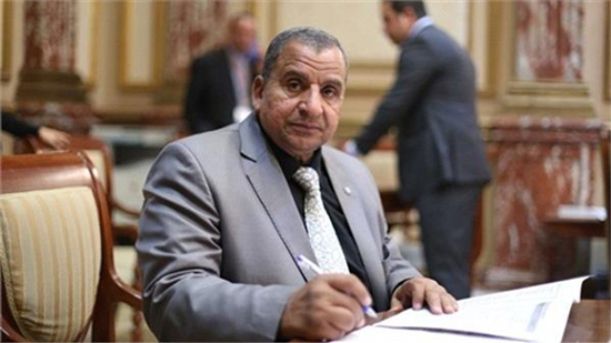  برلماني بالسويس : بيان عاجل حول المصريين العالقين في السعودية والكويت