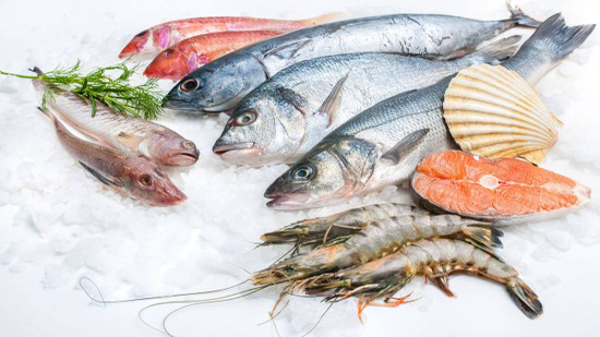أسعار الأسماك بسوق العبور اليوم الثلاثاء 12 مايو 2020