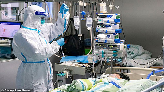 22 إصابة جديدة بفيروس كورونا في السويس
