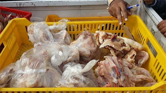 ضبط 3 طن دجاج فاسد و25 طن سلع غذائية غير صالحة للاستهلاك الآدمي