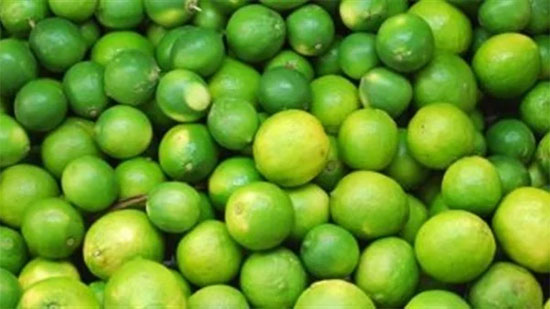 الزراعة تكشف سبب ارتفاع سعر الليمون