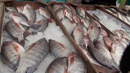 أسعار الأسماك اليوم الجمعة 19 يونيو 2020