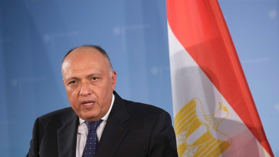 بالفيديو.. وزير الخارجية: مصر سيكون لها رد حازم على أي تهديد للأمن القومي