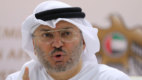  وزير إماراتي بشأن أزمة قطر: نثق ثقة مطلقة في حكمة السعودية 
