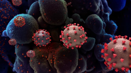 متغاير جديد من فيروس كورونا يهيمن على العدوى عالميًا