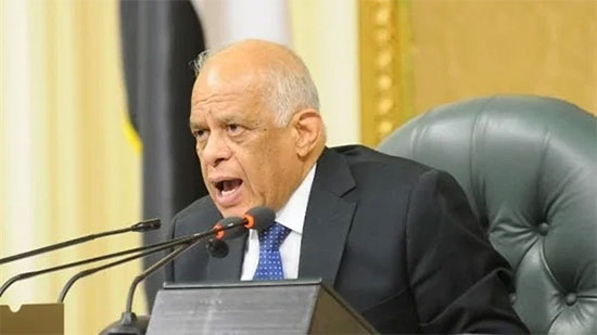 البرلمان: مصر قادرة على الدفاع عن نفسها وأشقائها ضد أي خطر