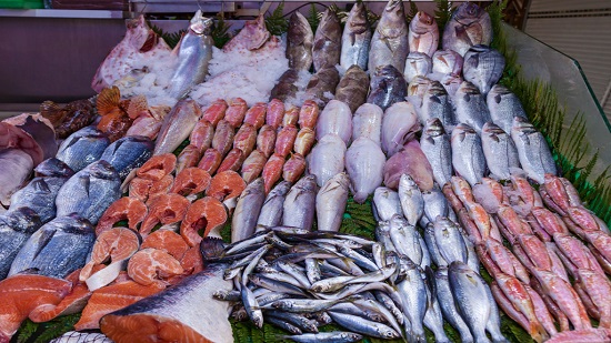 أسعار الأسماك والجمبرى اليوم الثلاثاء 21 - 7- 2020