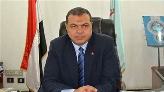 محمد سعفان، وزير القوى العاملة،