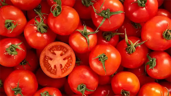 أسعار الخضروات اليوم بسوق العبور.. الطماطم تبدأ بـ1.75 جنيهاً

