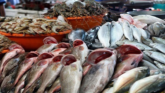 اسعار الأسماك في سوق العبور لتجارة الجملة ٢٨ /٨ /٢٠٢٠
