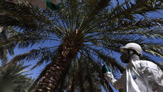 الإمارات وإسرائيل تبحثان التعاون بالمجالات الزراعية والمائية