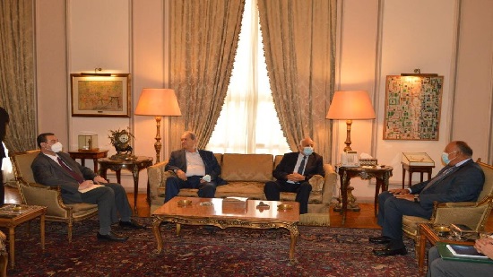 وزير الخارجية يؤكد موقف مصر الراسخ من القضية الفلسطينية 