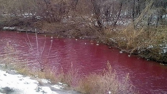 نهر يتحول إلى اللون الأحمر فى روسيا والأسباب مجهولة .. فيديو وصور