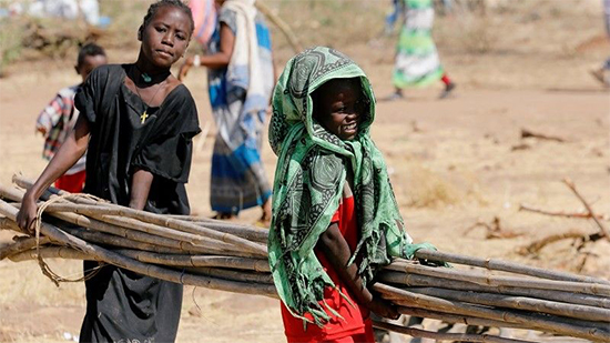 اقتلاع أشجار السنط في شرق السودان لإيواء مزيد من اللاجئين الاثيوبيين