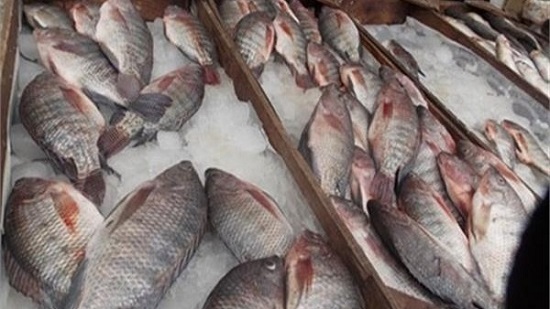 طرح بشاير منتجات بحيرة ناصر في فروع «تسويق الأسماك»