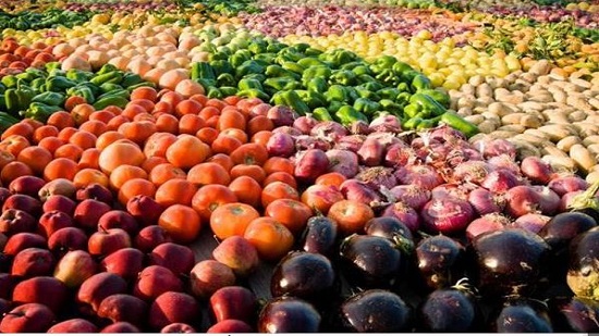 الزراعة تعلن ارتفاع صادرات مصر الزراعية الى 4.9 مليون طن رغم تأثر التجارة الدولية بسبب كورونا
