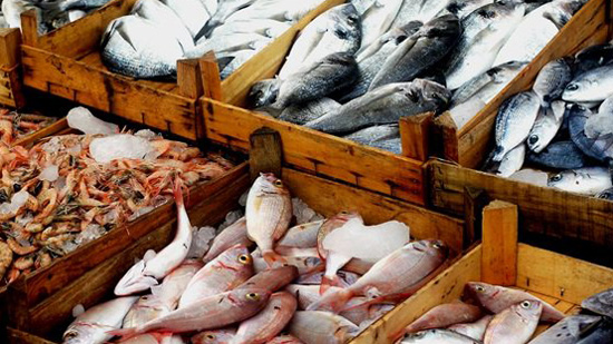 أسعار الأسماك بسوق العبور اليوم.. البلطى الأسوانى بين 17-37 جنيها للكيلو
