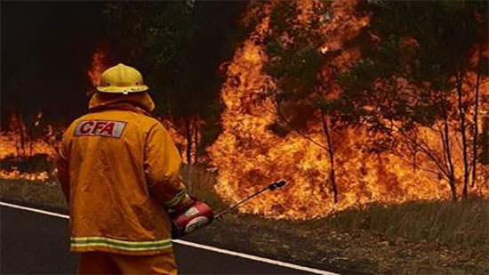 روسيا تشهد أولى حرائق الغابات في 2021 جنوب البلاد