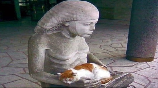  الأنبا نيقولا أنطونيو : المجتمع المصري القديم قدس القطط فباتت رمزا للنعمة والاتزان
