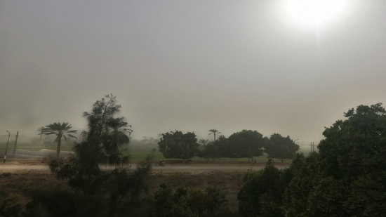 رياح شديدة وعاصفة ترابية تضرب محافظة الفيوم