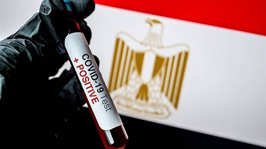  د.هالة السعيد: مصر تكيفت مع تبعات كورونا والنقد الدولي يشيد بسياسات البنك المركزي والحكومة المصرية 
