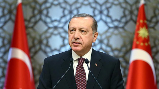 وثيقة دولية : أردوغان متورط في صعود المتطرفين داخل هولندا 
