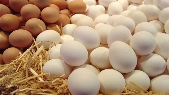 أسعار البيض اليوم الأربعاء 24-2-2021 في مصر