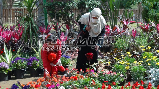  معرض الزهور بحديقة الأورمان اكبر تجمع لنباتات الزينة و الزهور بجميع أشكالها في مصر