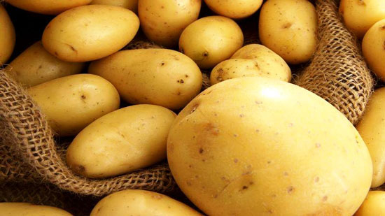  روسيا ترفع الحظر عن استيراد البطاطس المصرية