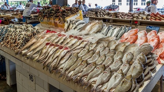 تعرف على أسعار الأسماك بسوق العبور اليوم الاثنين