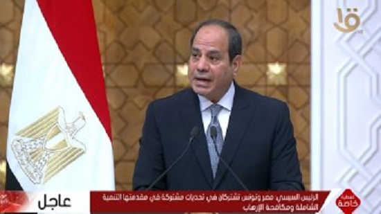 الرئيس السيسى: ناقشت مع رئيس تونس تحقيق التنمية الشاملة ومكافحة الإرهاب