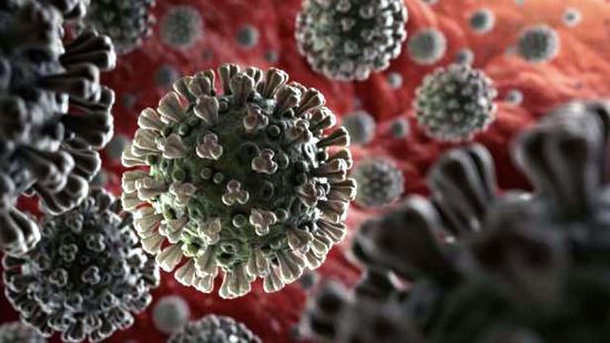 «الصحة»: نعيش أخطر 10 أيام لفيروس كورونا.. والتباعد اختفى