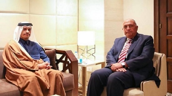  شكري يعقد مباحثات بالقاهرة مع نائب رئيس مجلس الوزراء وزير خارجية قطر