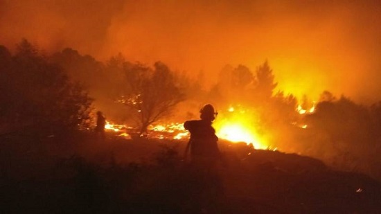  الحكومة القبرصية تطلب مساعدة إسرائيل  في إخماد الحرائق 
