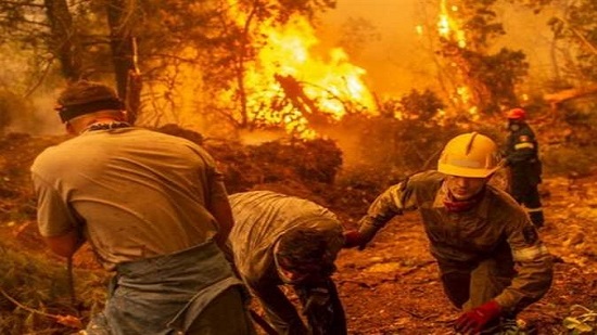 ليبراسيون: غضب في الجزائر لفشل الحكومة في مواجهة الحرائق