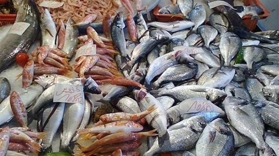 أسعار الأسماك والجمبري اليوم الثلاثاء 19-10-2021