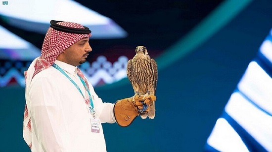 نادي الصقور السعودي يسدل الستار على مزاده بأكثر من 2 مليون دولار