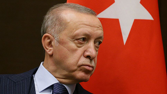 أردوغان أبوظبي قدمت 10 مليارات للاقتصاد التركي وسأزورها فبراير المقبل